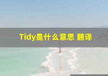 Tidy是什么意思 翻译